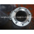 ANSI Flange End Y-Strainer avec du carbone en acier RF